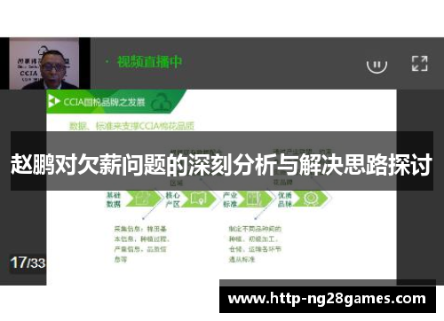 赵鹏对欠薪问题的深刻分析与解决思路探讨 赵鹏对欠薪问题的深刻分析与解决思路探讨